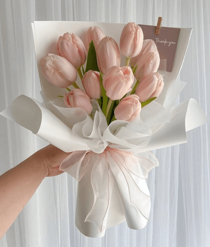 Tulips Beauty