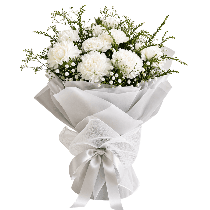 Charming Carnations