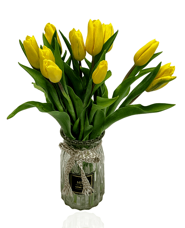 Treasured Tulips