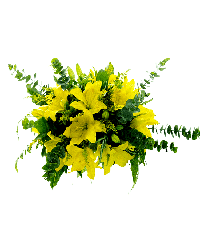 Luminous Lilies