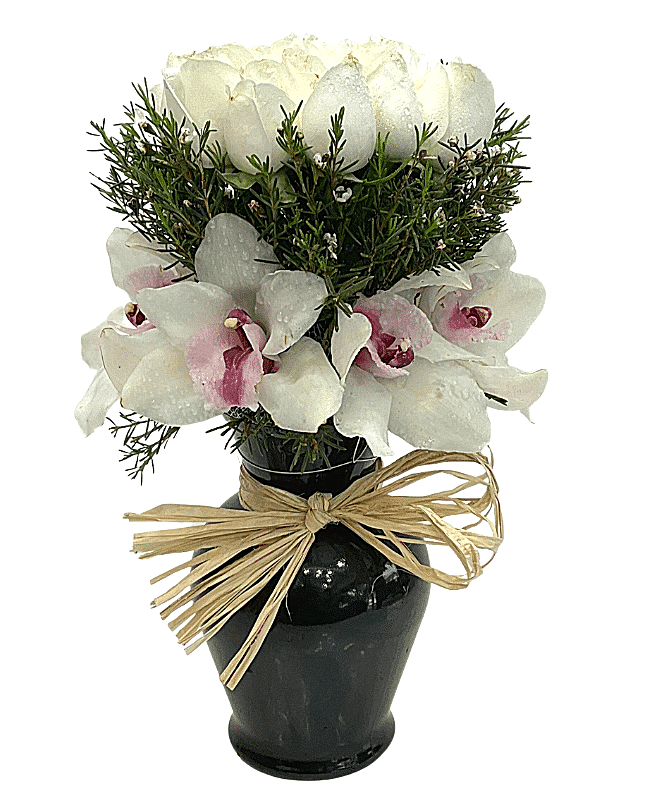 White Purity in Black Vase