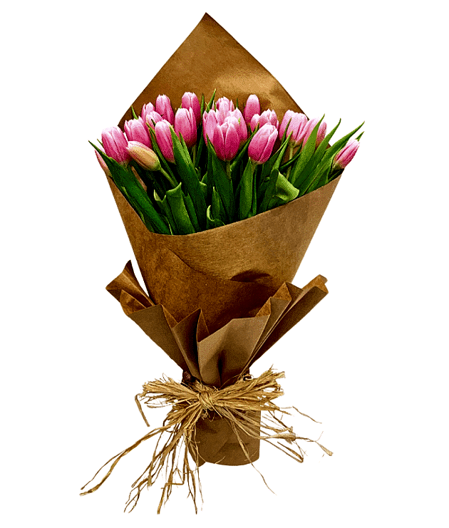 Stunning Pink Tulips