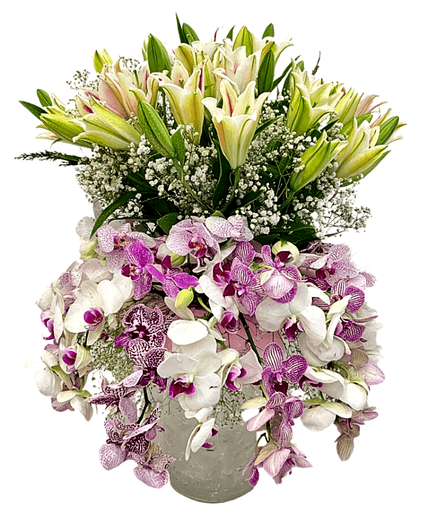 Elegant Orchid Lily Fusion