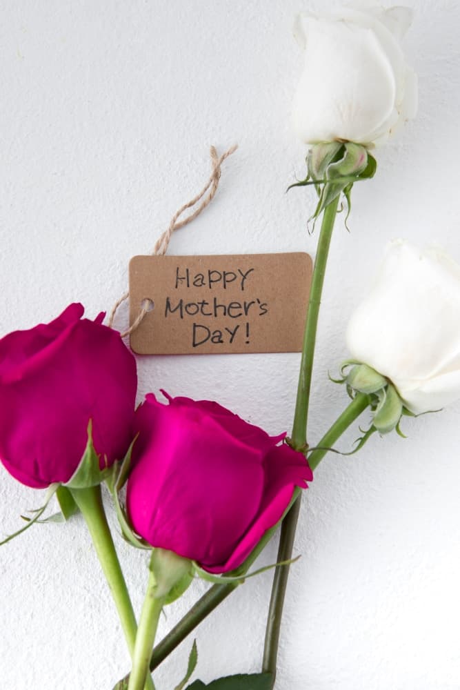 Best Flowers for Mother's Day