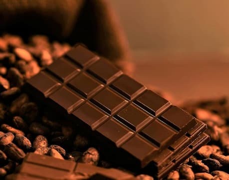 Exquisite Dark Chocolate Bar
