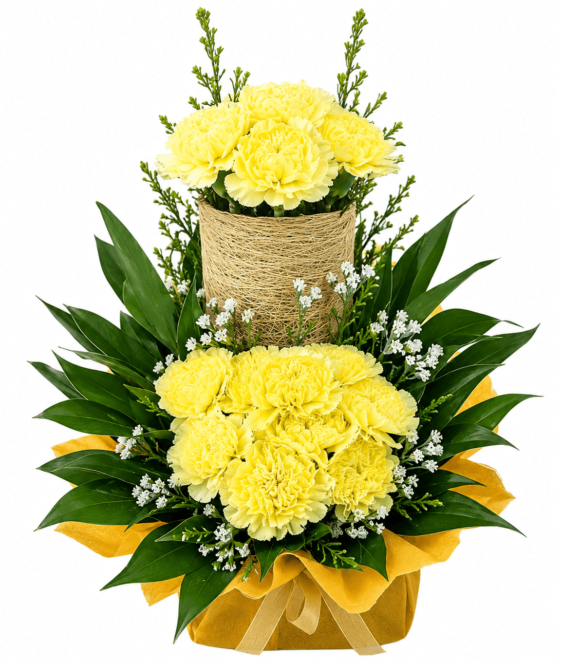 Clustered Carnations