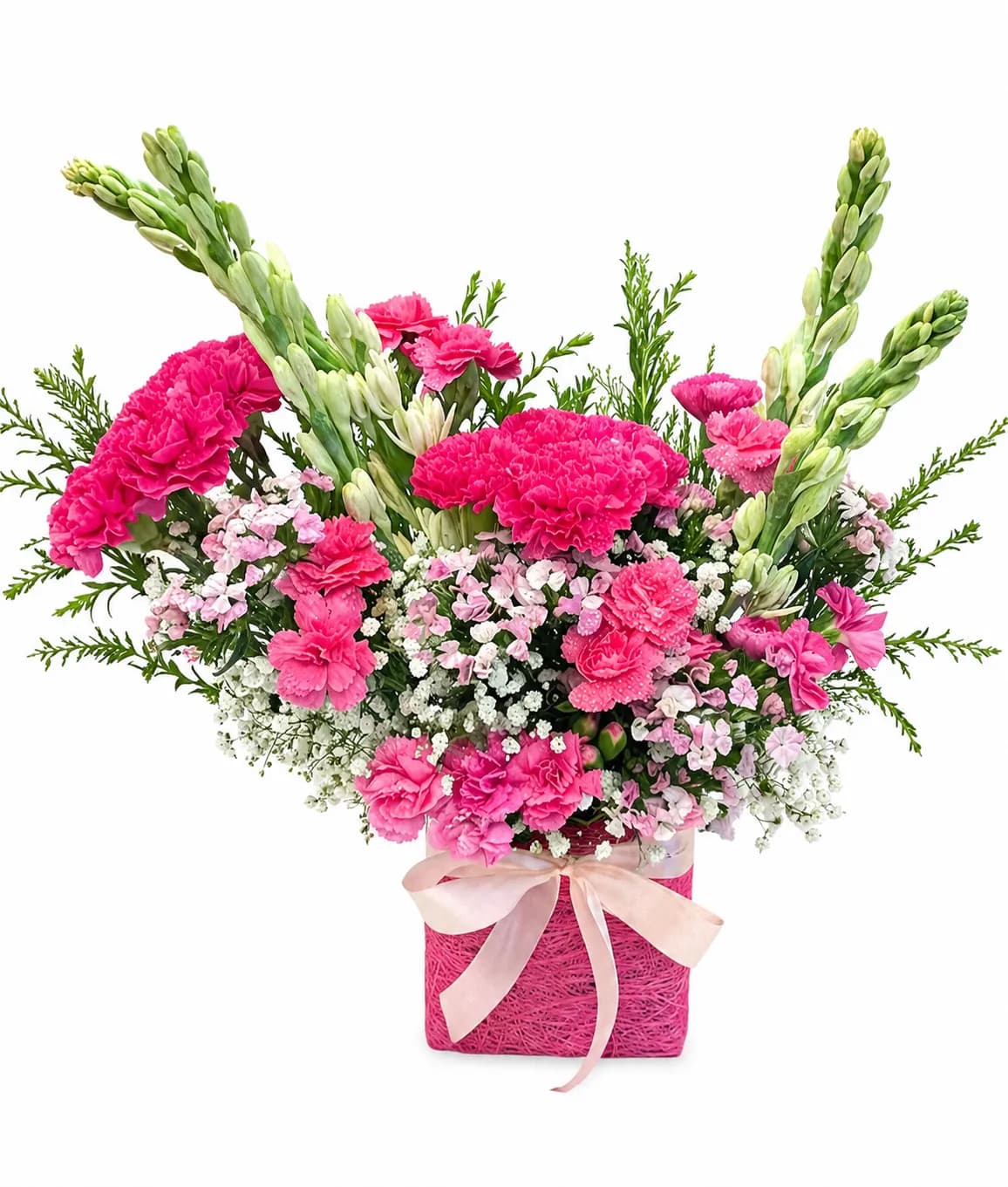 Pink Blossom Harmony