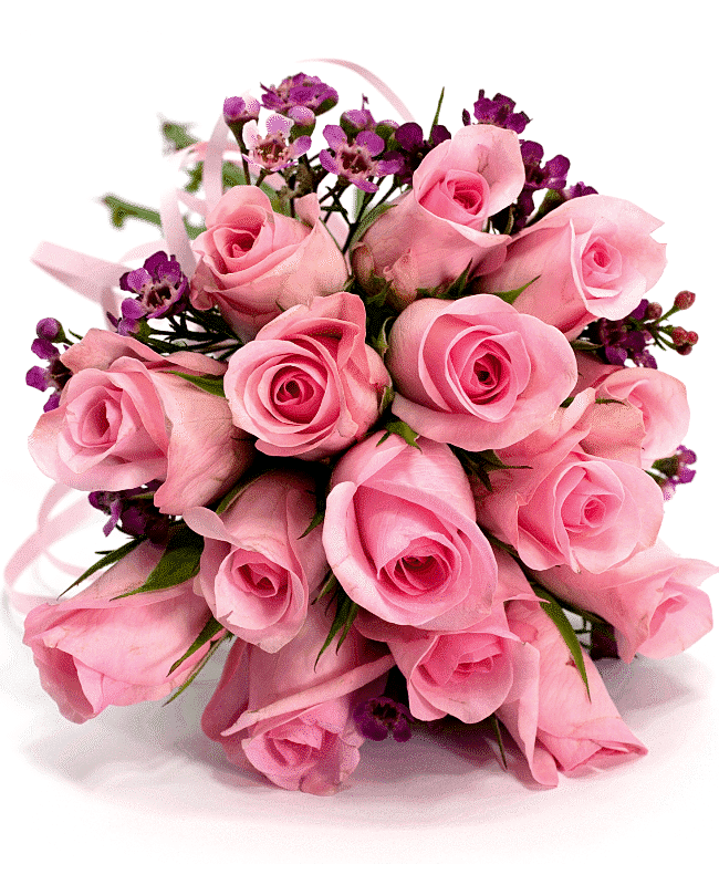 Poetic Pink Roses