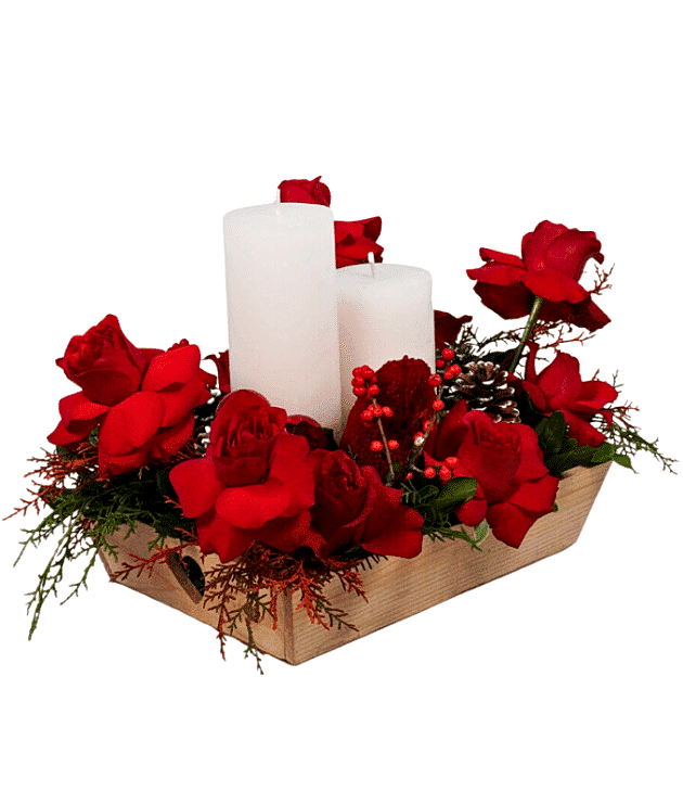 Twilight Roses