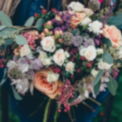 Soothing ColorPalette