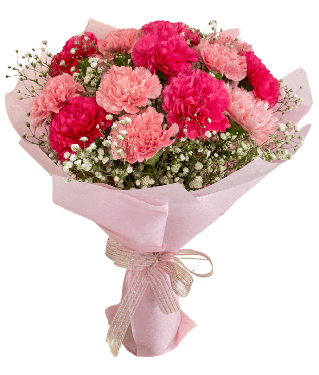 Light Pink and Dark Pink Carnations Handbunch