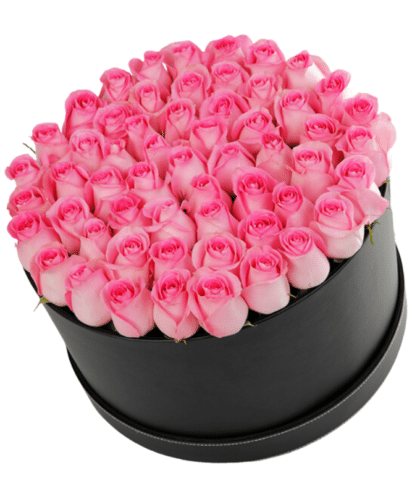 pink roses in box