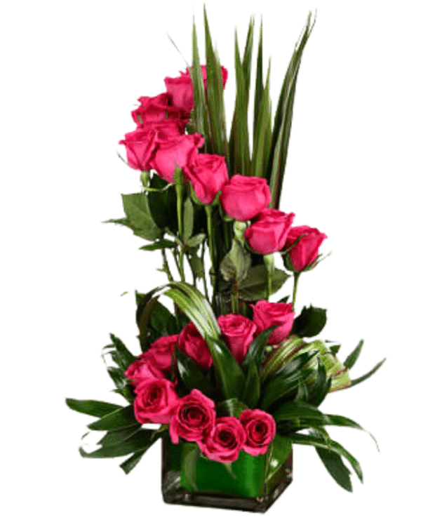 Spiral dark pink roses arrangement in vase 
