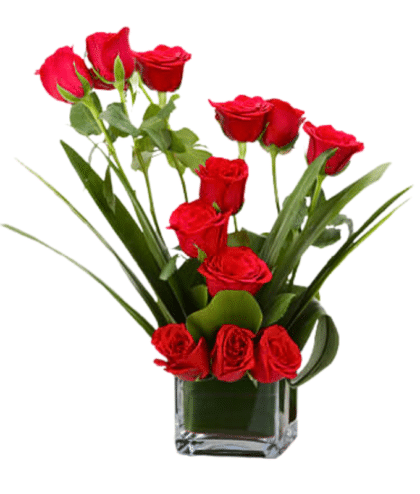 assorted red roses arrangement in vase