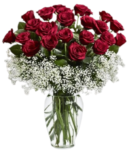Deep red color roses arrangement in vase