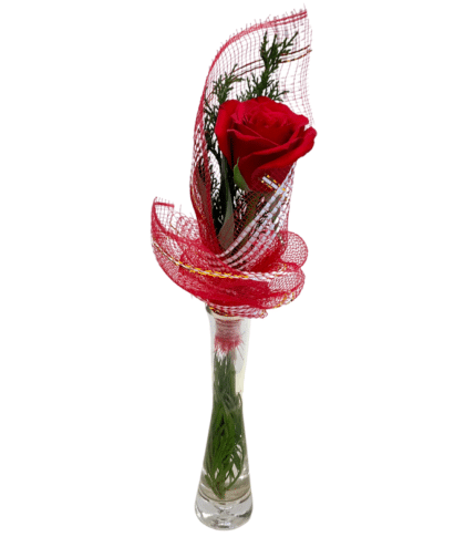 Single Rose in Glass Vase