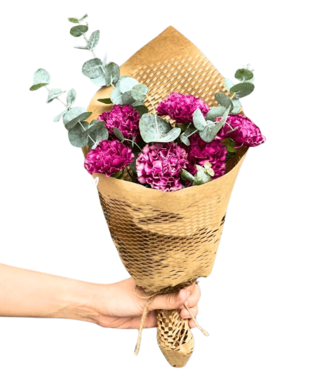 Purple carnations handbunch