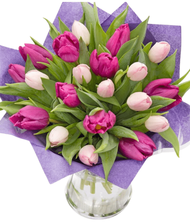 Dark pink and light pink tulips arrangement in vase