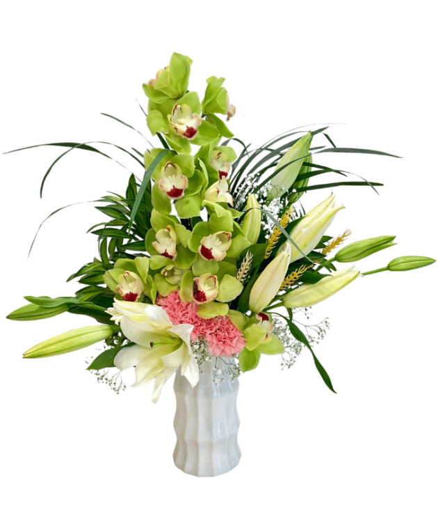 GREEN CYMBIDIAN ORCHIDS,LIGHT PINK CARNATIONS,WHITE LILIES ELEGANT ARRANGEMENT IN WHITE VASE