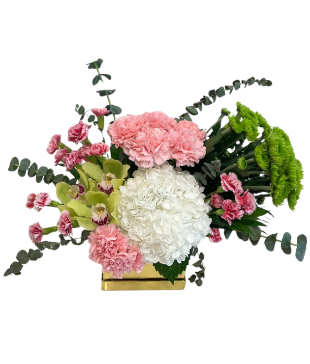 White hydrangea,green cymbidium, green button chrysanthemums,light pink carnation,pink spray carnations with eucalyptus arrangement in golden box