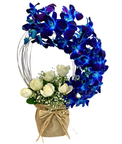 Blue orchids arc with white roses arrangement